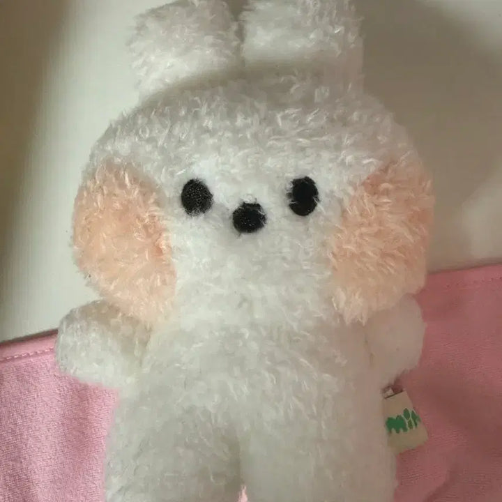[BUNJANG] Line Friends Cony Plush / 라인프렌즈 코니니 인형 팔아요!