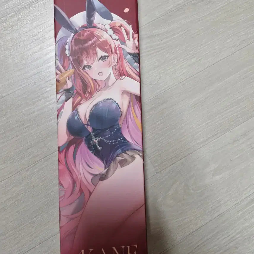 [BUNJANG] Akane Rijie 2025 Birthday Bundle / 2025 아카네리제 생일번들