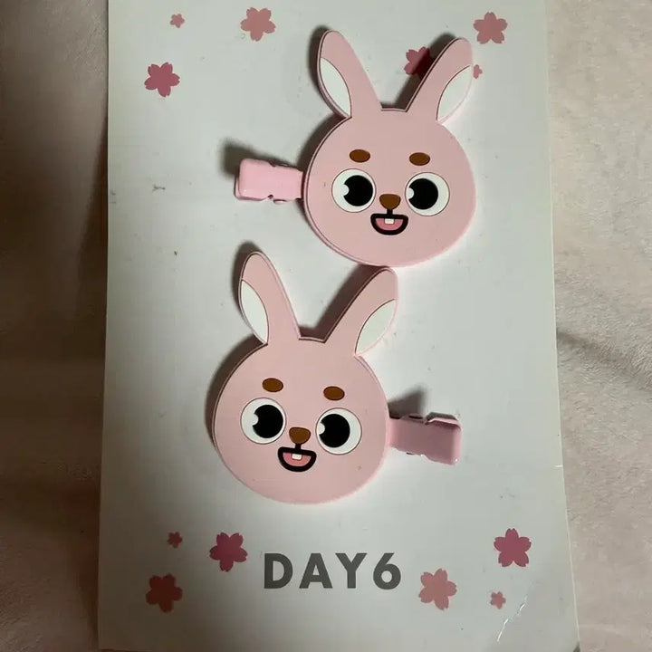 [BUNJANG] Day6 Yokohama Wonpil Hairpin / 데이식스 요코하마 헤어핀 원필