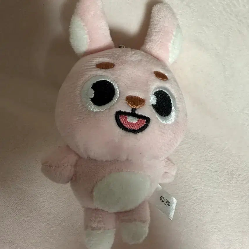 [BUNJANG] DAY6 Japan Back Charm Wonpil / 데이식스 일본 백참 원필