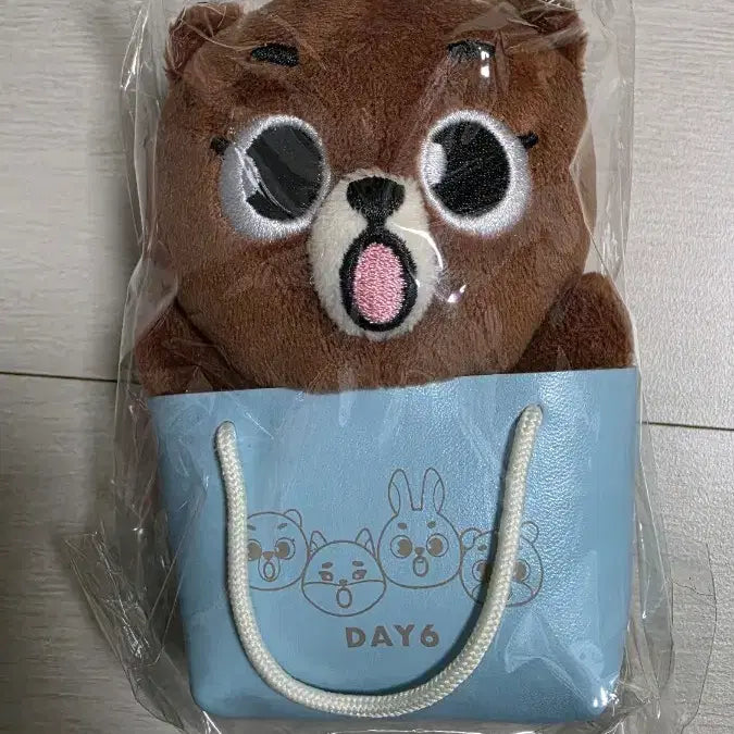 [BUNJANG] DAY6 Sungjin Japan Bag Charm (Sealed) / 성진 방 일본 백참(미개봉)