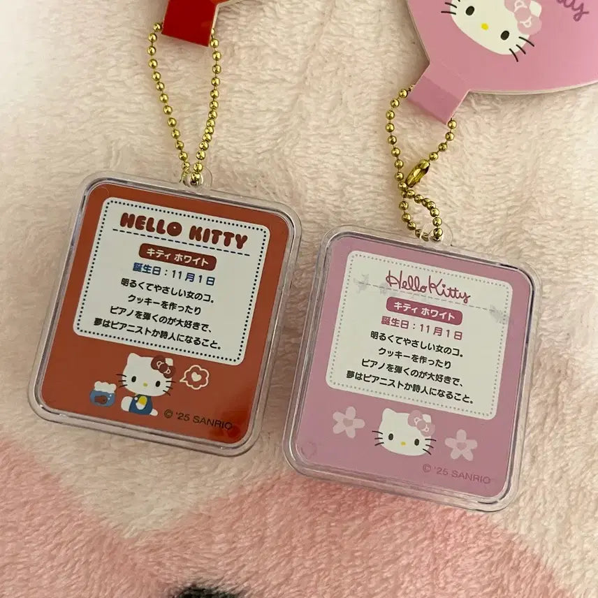 [BUNJANG] Sanrio Kitty Miniature Package Charm Set Bundle / 일괄)산리오 키티 미니어처 패키지 참 세트