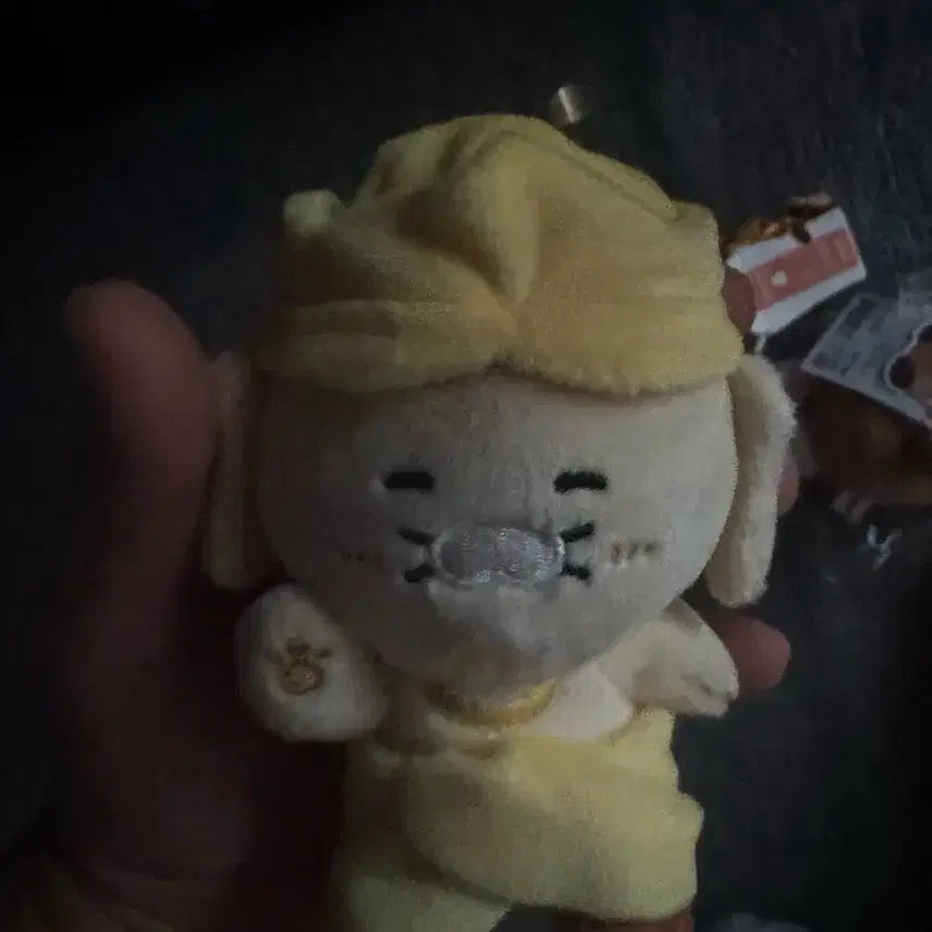 [BUNJANG] Kakao Friends Limited Edition Keyring (Unsealed, Displayed) / 카카오프렌즈 한정키링 (개봉.전시)