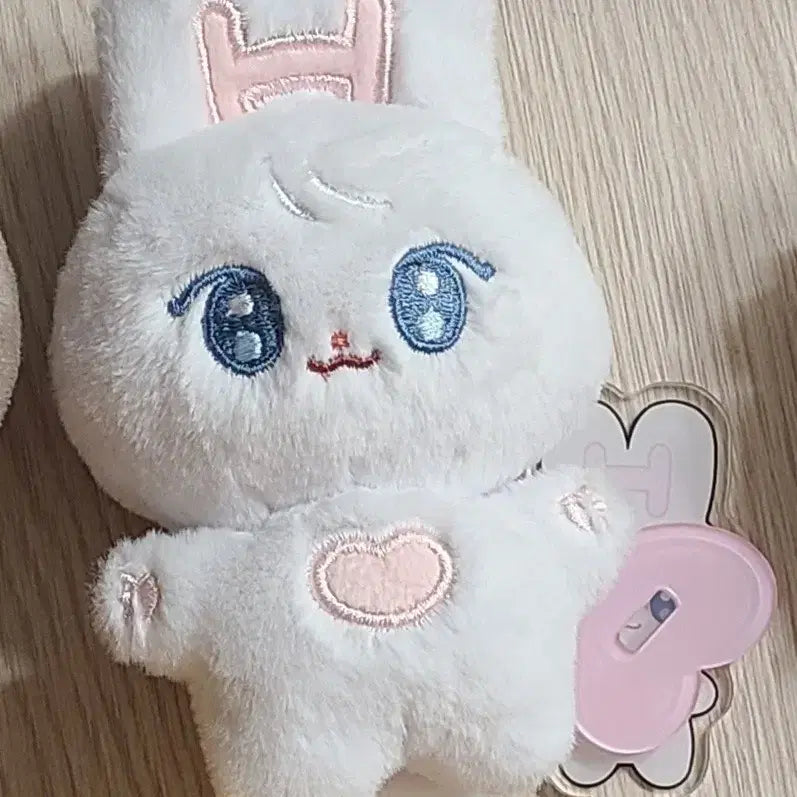[BUNJANG] &amp;TEAM Harua Ruabbit Plush Doll / 앤팀 하루아 토끼 인형 루아빗