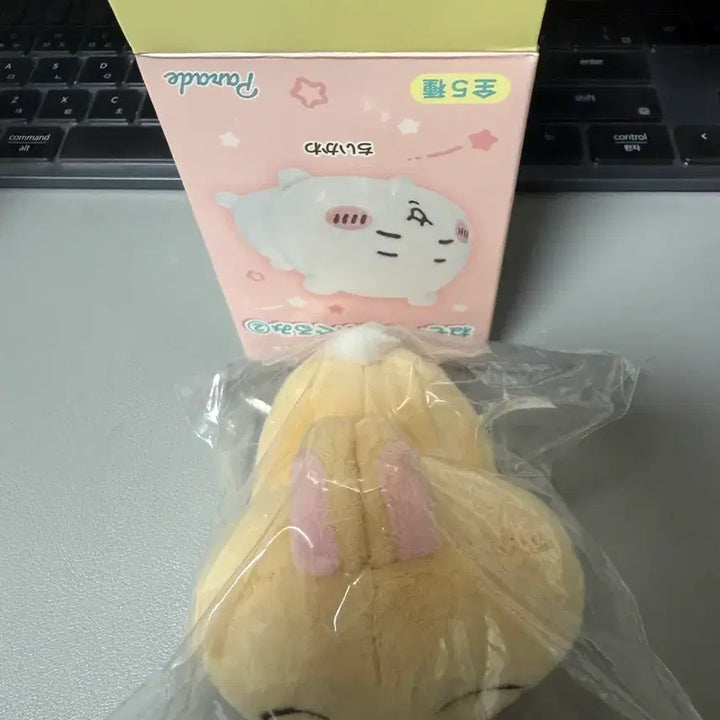 [BUNJANG] Chiikawa Nesoberi Usagi Plush / 치이카와 네소베리 누이구루미2 우사기