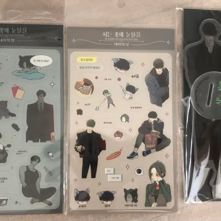 [BUNJANG] Withering Flower Tears MD Bundle Set / 시든 꽃에 눈물을 MD