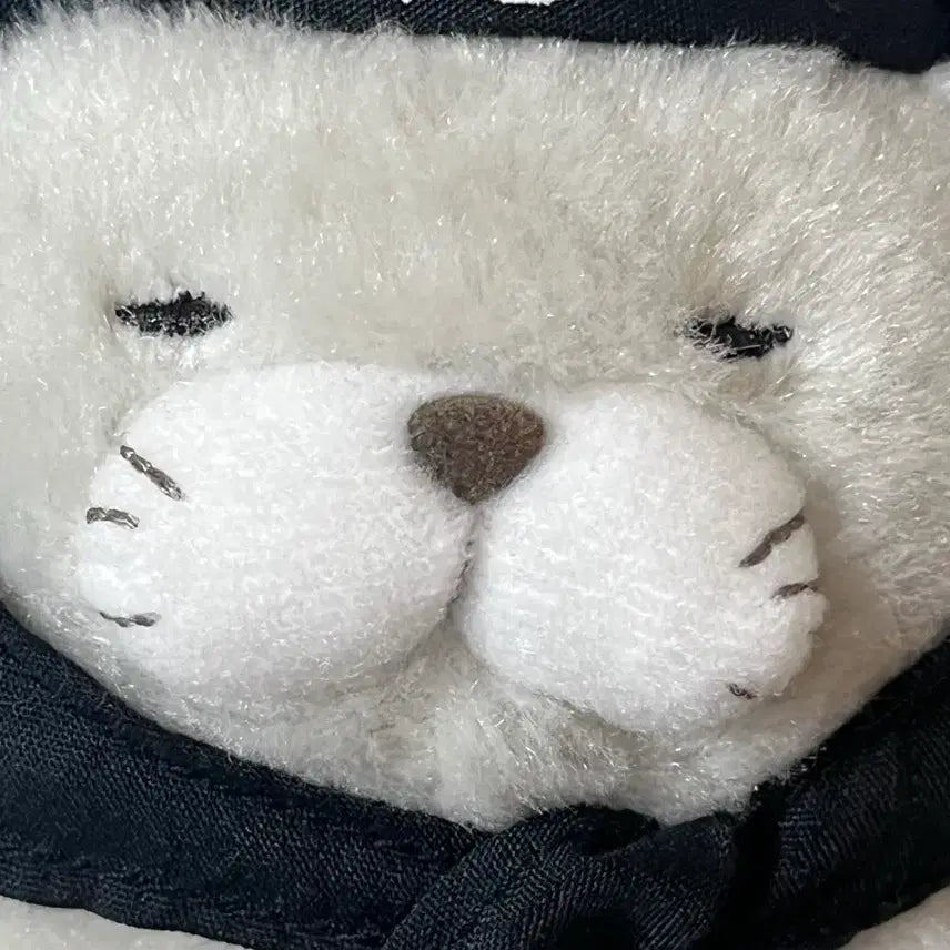 [BUNJANG] Ninja Cat Plush Toy / 닌자고양이..? 인형 팝니다