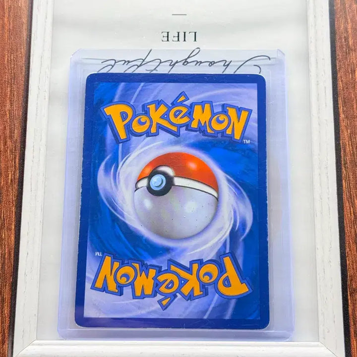 [BUNJANG] Pokemon Ice Demon EX Card / M 얼음귀신 EX