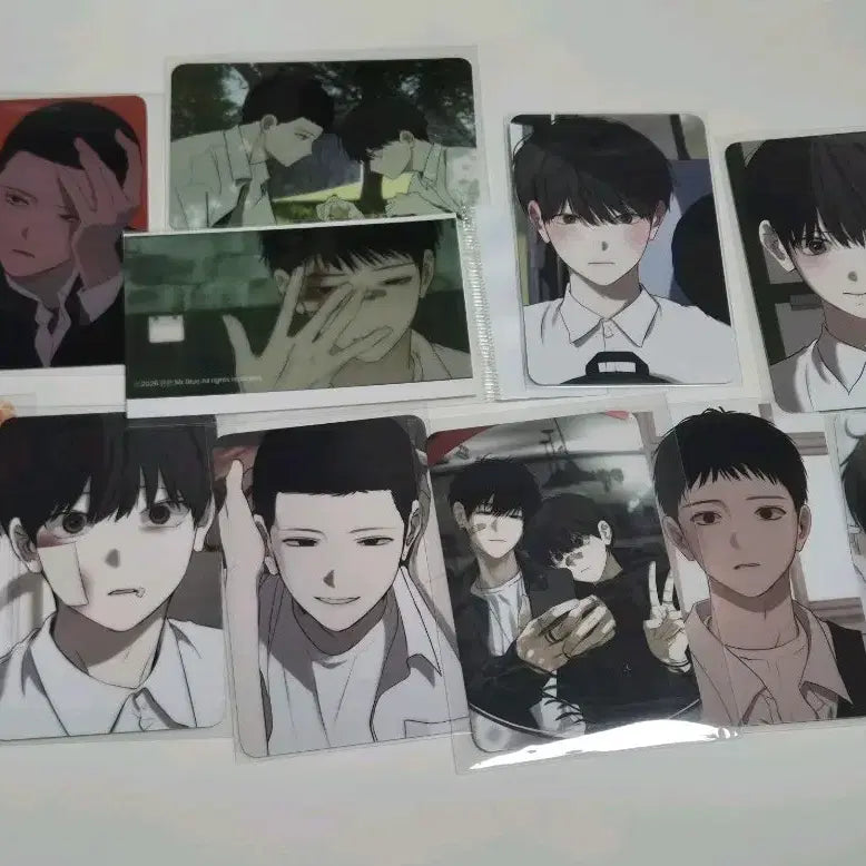 [BUNJANG] Nappeun Chingu Photocard Bundle Set / 일괄양도) 나쁜친구 포토카드 드볼 및 특전 미블 미스터블루 레봄 봄툰 레진 비온 판타지트 재이미 모펀