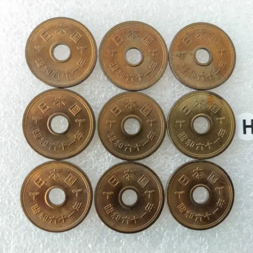 [BUNJANG] Japanese 5 Yen Coin Bundle (9 Types) / 일본국 5엔 동전 (9종) 일괄