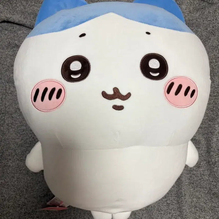 [BUNJANG] Chiikawa Hachiware Miniso L Size Plush / 치이카와 하치와레 미니소 L 사이즈 정품