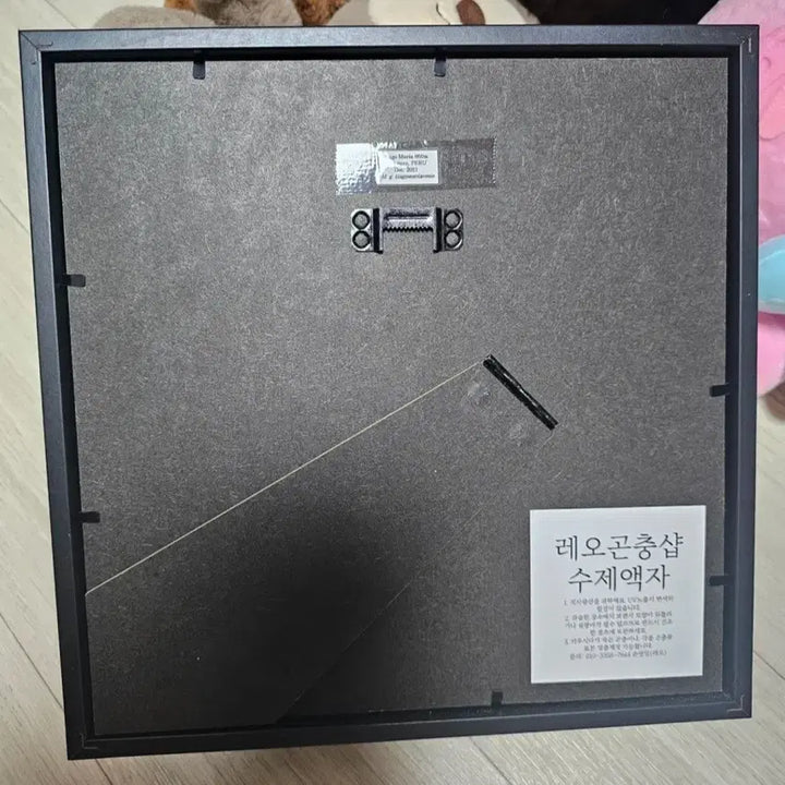 [BUNJANG] Morpho Butterfly Specimen / 모르포 나비 표본 판매
