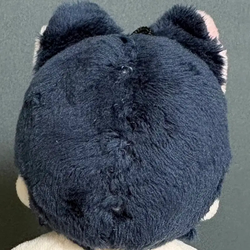 [BUNJANG] Garbage Time Plush Doll Naellm-baeng / 가비지타임 솜인형 낼름뱅 판매