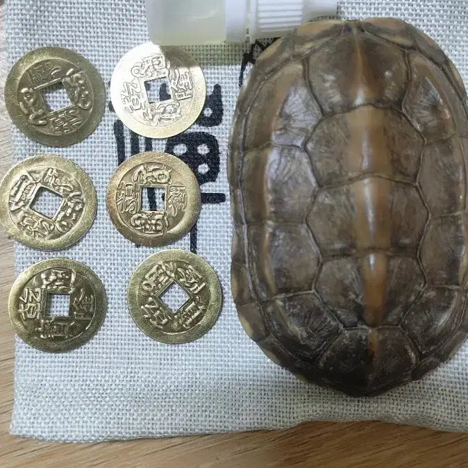 [BUNJANG] Turtle Shell and 6 Coin Divination Set / 거북이 등껍질 6개 동전 점복이 세트