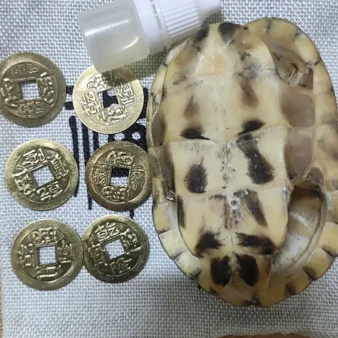 [BUNJANG] Turtle Shell and 6 Coin Divination Set / 거북이 등껍질 6개 동전 점복이 세트