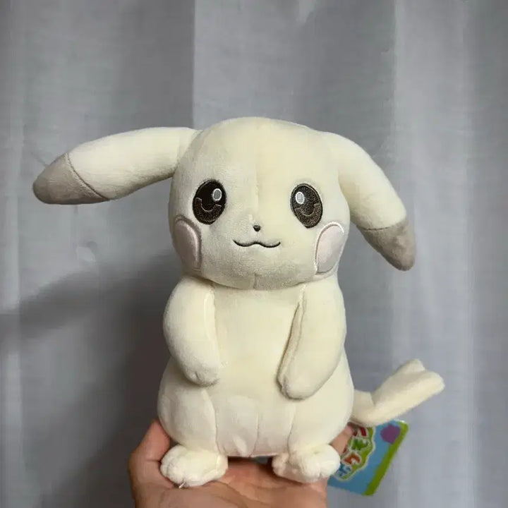 [BUNJANG] Pokemon Pocopia Pale Pikachu Plush &amp; Keyring / 포켓몬스터 포코피아 창백카츄 인형&amp;키링 판매합니다:)