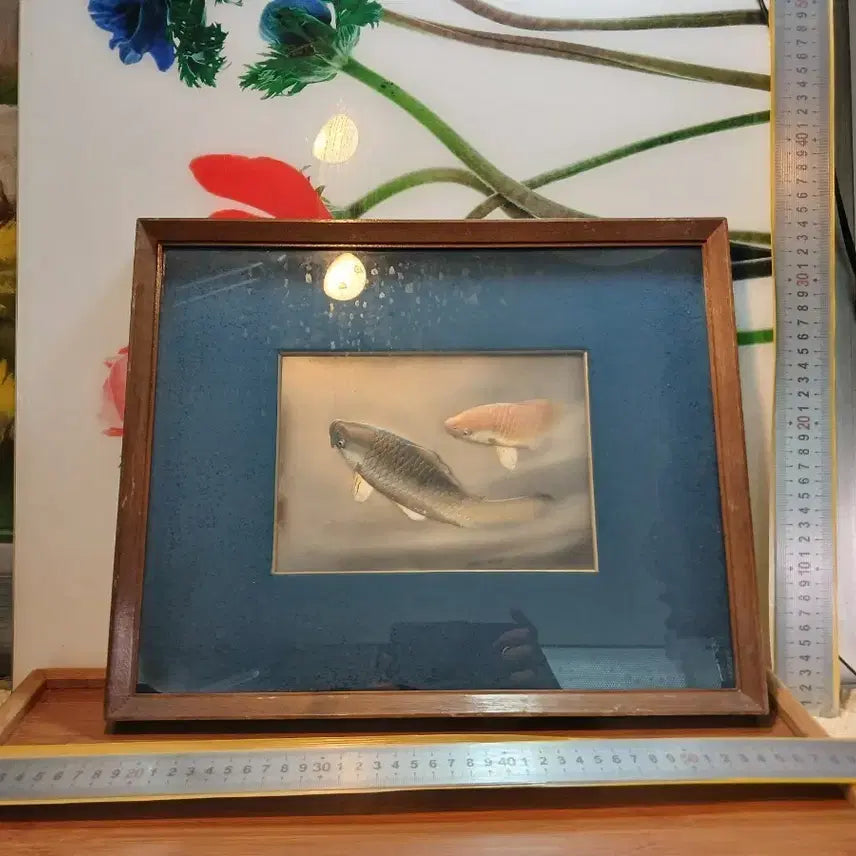 [BUNJANG] Fish Painting Framed Art with Wooden Frame / 액자 그림 물고기 부채 골프