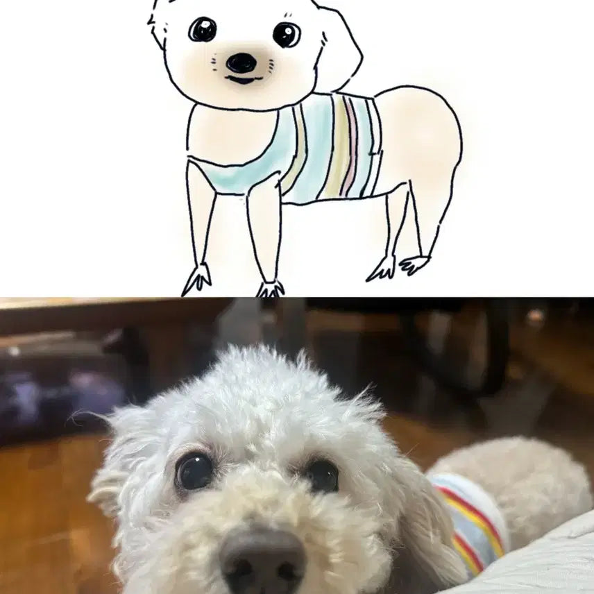 [BUNJANG] Custom Dog Portrait Illustration / 하찮게 강아지 그려드려욤ㅎ