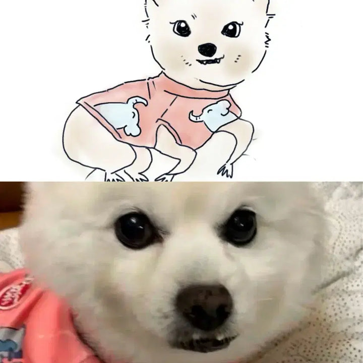 [BUNJANG] Custom Dog Portrait Illustration / 하찮게 강아지 그려드려욤ㅎ