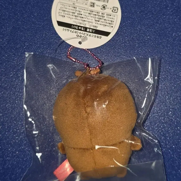 [BUNJANG] Chiikawa Beetle Mascot / 치이카와 풍뎅이 마스코트