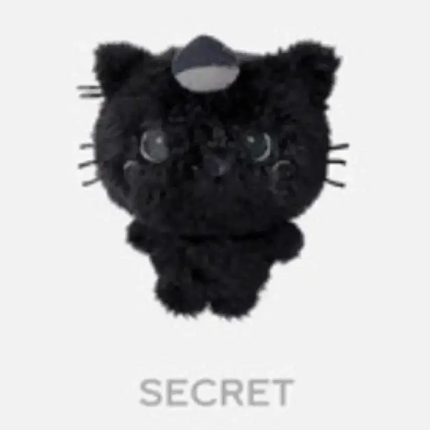 [BUNJANG] Secret Kuri Plush / 시크릿쿠리