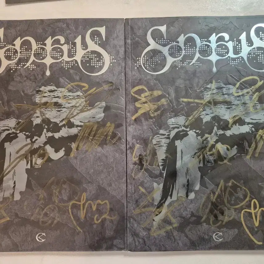 [BUNJANG] CRAVITY Signed Album Bundle Set / 크래피티 싸인앨범 두장 무료배송
