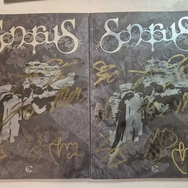 [BUNJANG] CRAVITY Signed Album Bundle Set / 크래피티 싸인앨범 두장 무료배송
