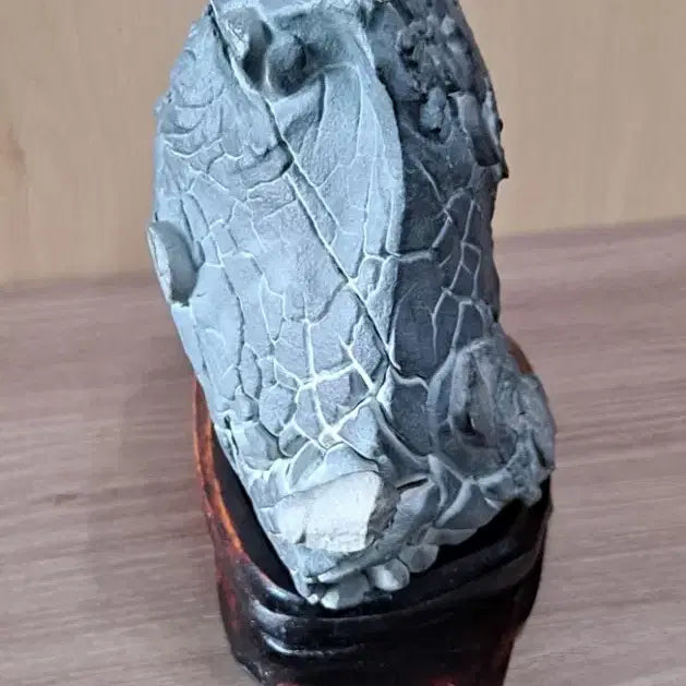 [BUNJANG] Natural Stone (Turtle Fossil) / 구화석