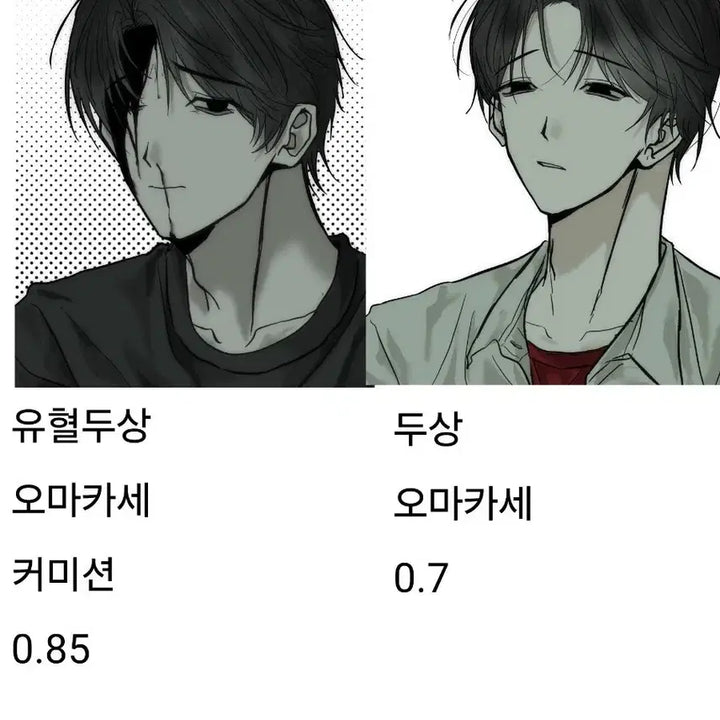 [BUNJANG] Bust-Up Commission - Express Commission / 두상 그림커미션