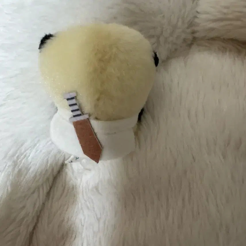 [BUNJANG] Chiikawa Racco Sitting Plush (Kitan Version) / 치이카와 랏코 앉누 키탄버전 판매