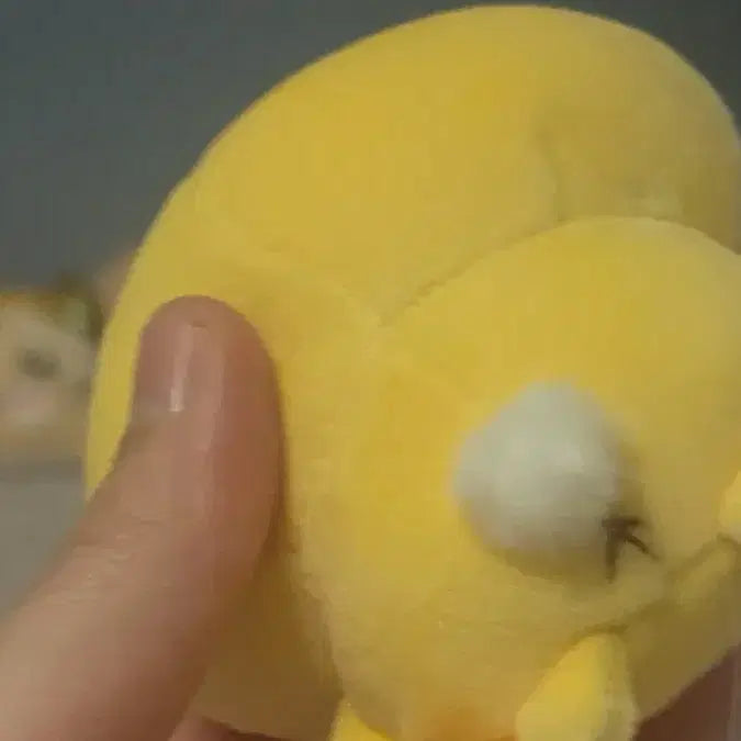 [BUNJANG] Pompompurin &amp; Usagi Mako Plush Doll / 폼폼푸린 우사기 마코
