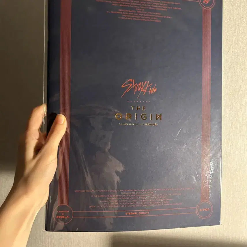 [BUNJANG] Stray Kids DEPECHE MODE The Origin Photobook / 디페스타 스트레이키즈 스 ...
