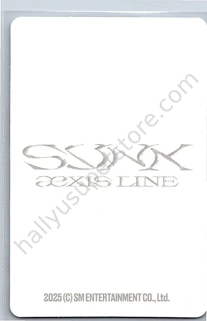 aespa - Karina - SYNK : aeXIS LINE merch photocard tour merch