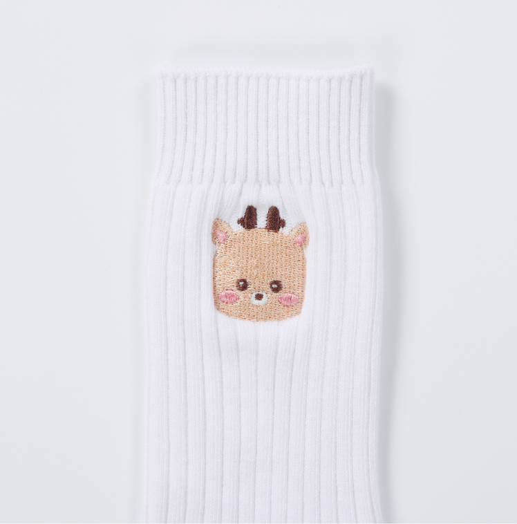 [Pre-Order] Riize -"HUG" Special Merchandise SOCKS SET**