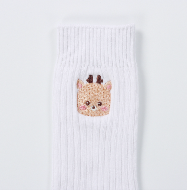 [Pre-Order] Riize -"HUG" Special Merchandise SOCKS SET**