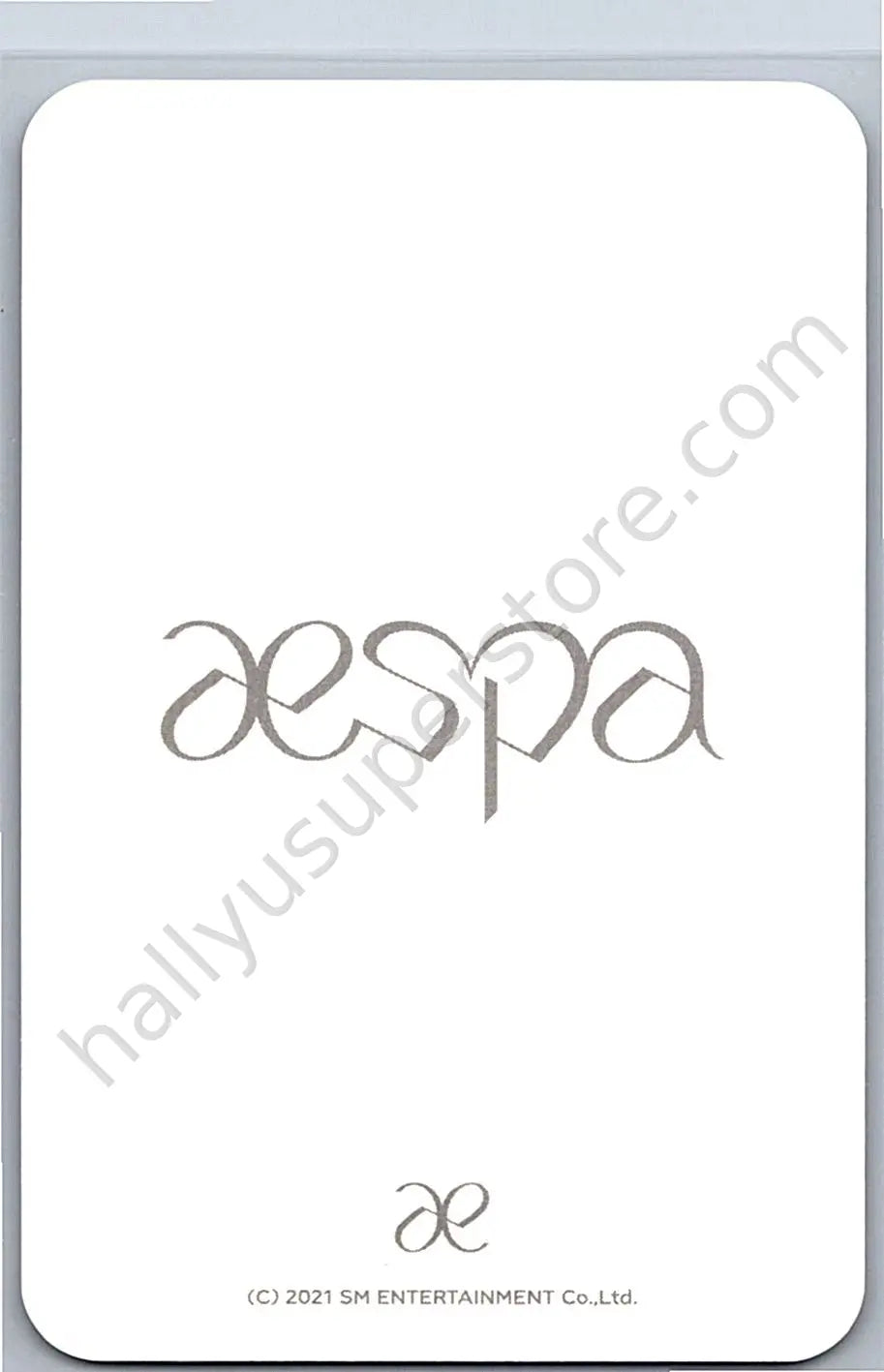 aespa - Karina -  Next Level Album merch photocard keyring