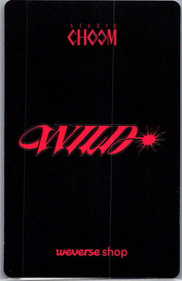 KATSEYE "WILD" - Weverse Shop Studio Choom Gift Photocard [26.08.19]