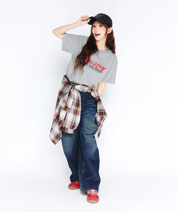 **QWER -Ames-Worldwide QWER VINTAGE STAR TEE GREY