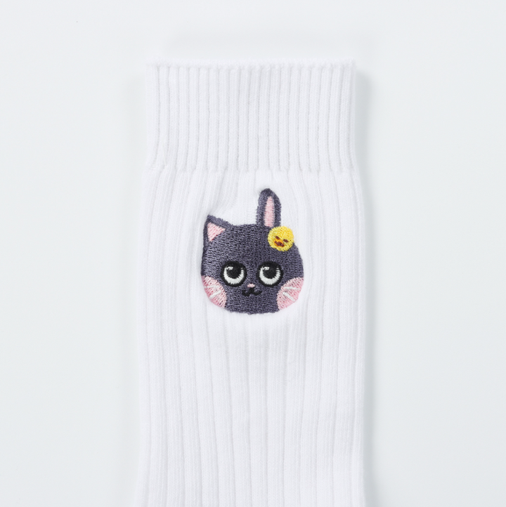 [Pre-Order] Riize -"HUG" Special Merchandise SOCKS SET**