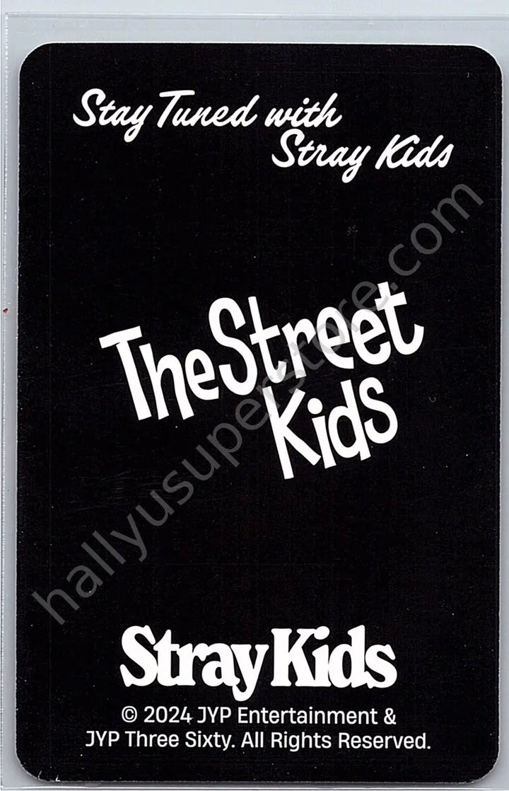 Stray Kids - HAN - 2025 Season&