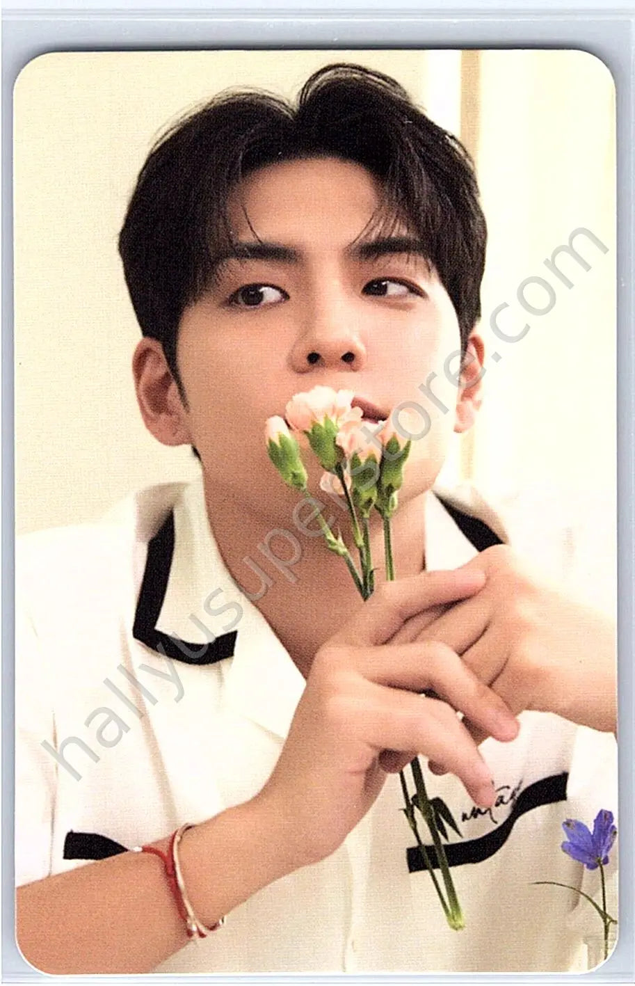 DAY6  - Wonpil - Fourever album photocard green version message card nemo version platform version