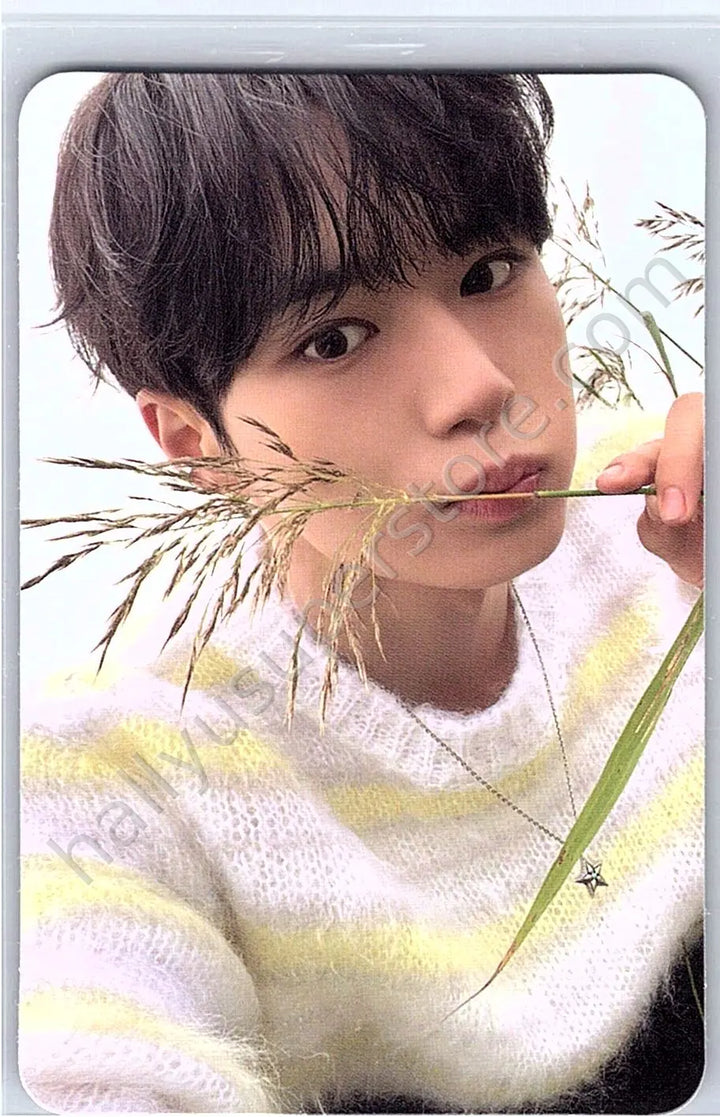 ALPHA DRIVE ONE - Junseo - EUPHORIA album photocard star road version