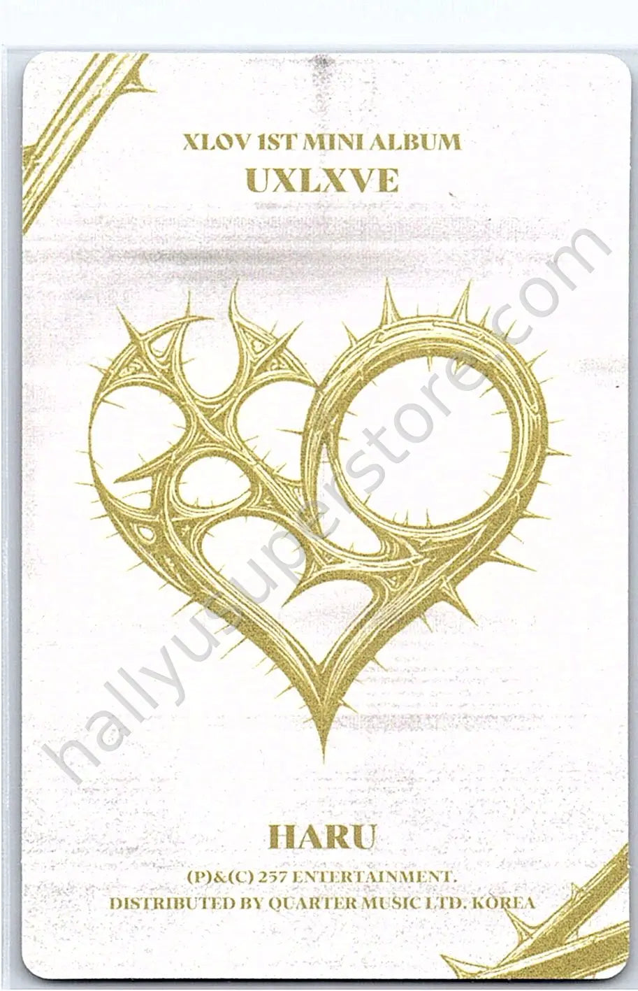 XLOV - Haru - UXLXVE album photocard N version