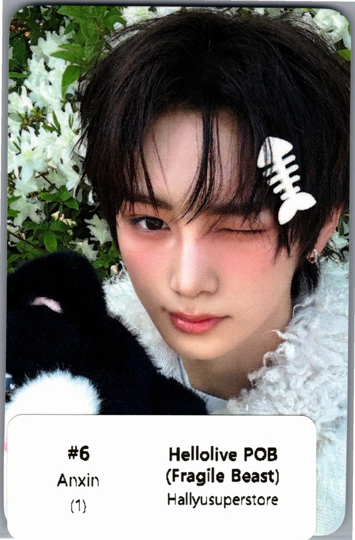 ALPHA DRIVE ONE "UNBREAKABLE : 少年BEAST" - Hellolive Pre-Order Benefit Photocards (Fragile Beast Ver.) [26.09.01]