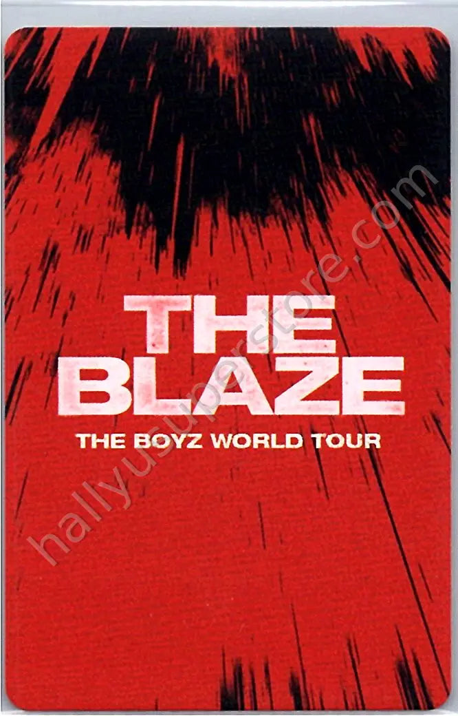 THE BOYZ - Q - 3rd World Tour: The Blaze dvd version