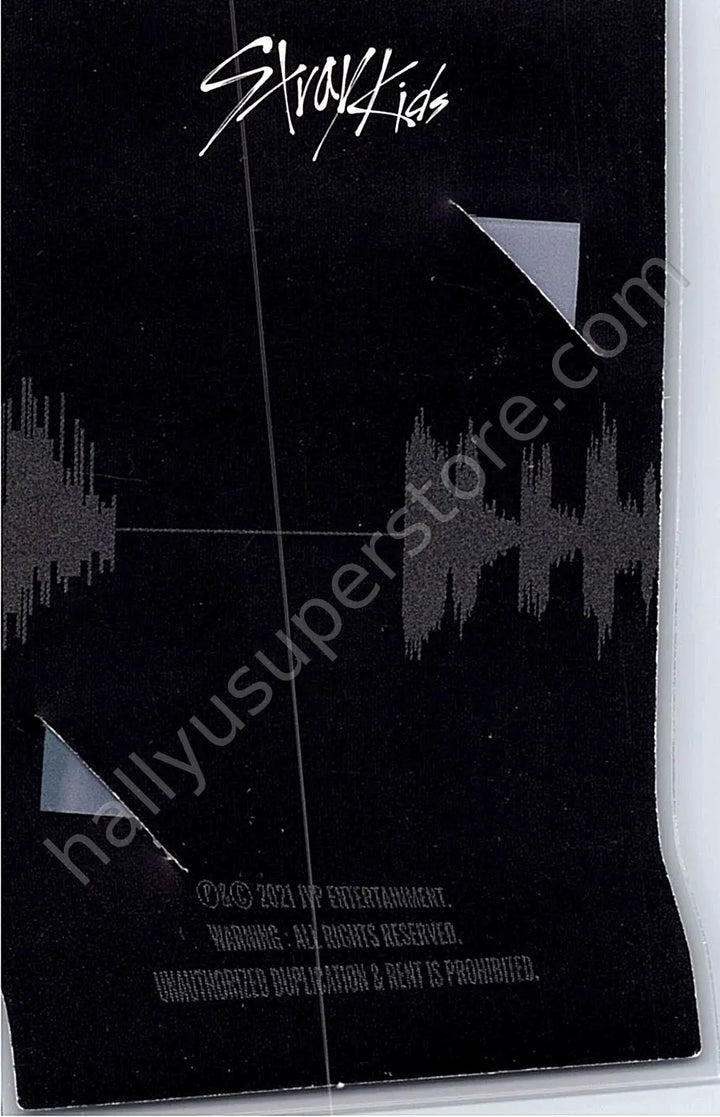 Stray Kids - Felix - NoEasy album photocard first press only frame photocard standard version