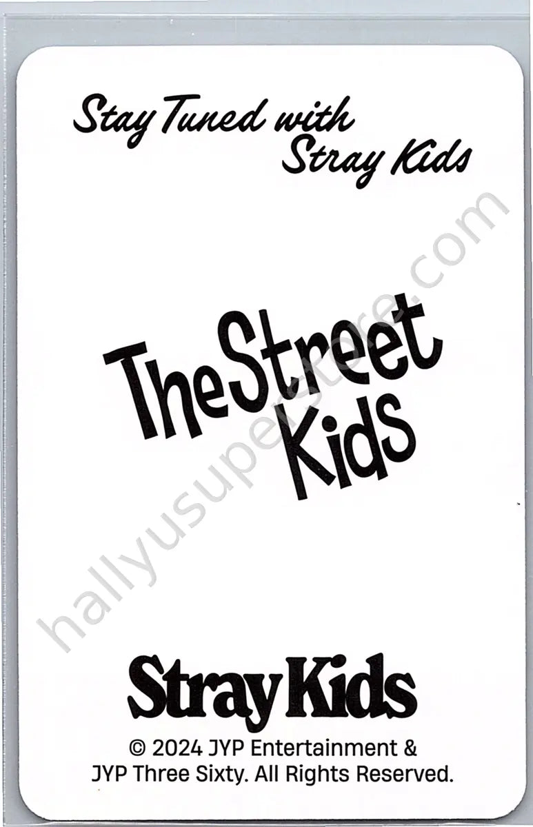 Stray Kids - Lee Know - 2025 Season&