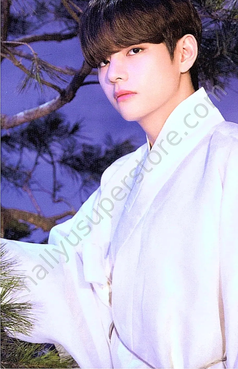BTS - V - Dalmajung 2021 46/56 mini photocard