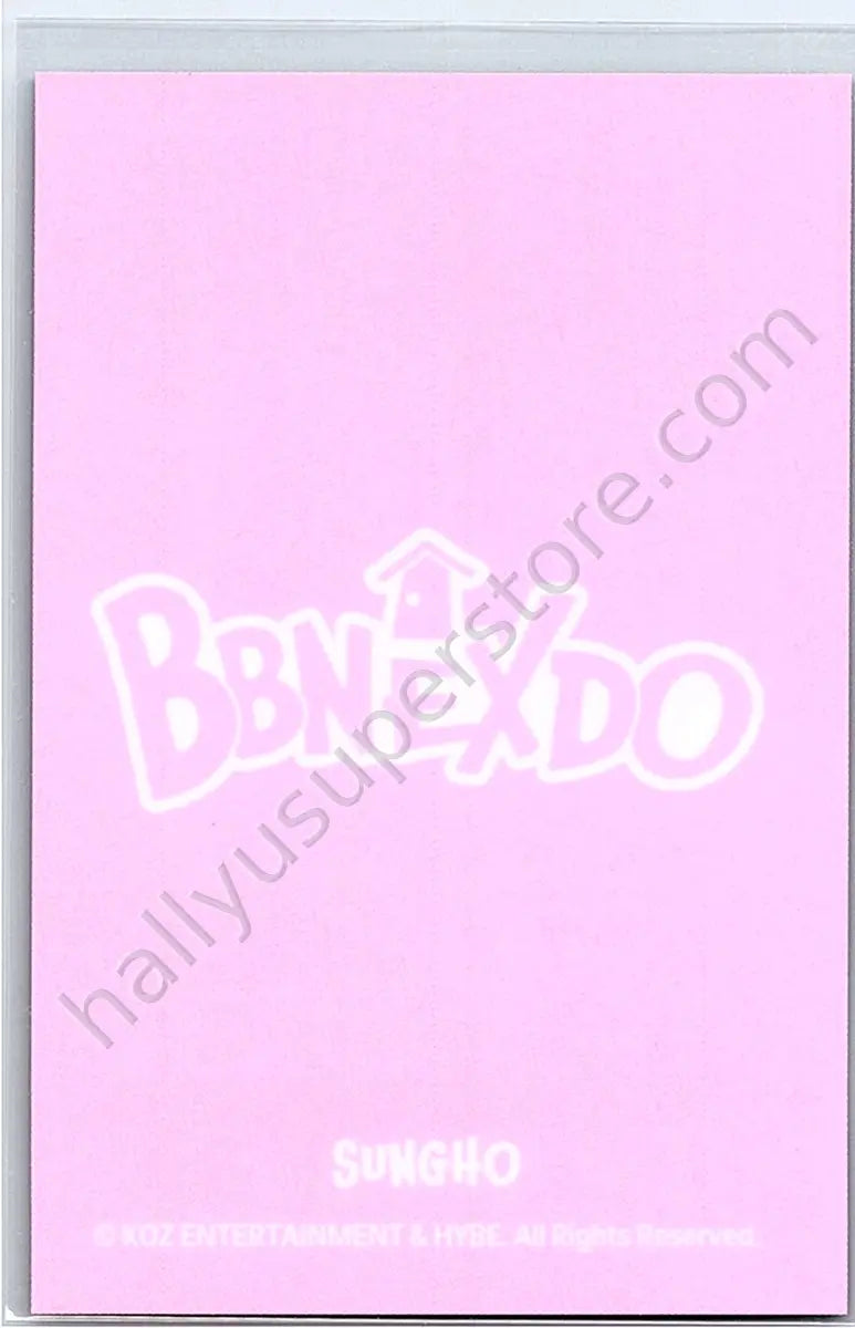 BOYNEXTDOOR - Sungho - BOYNEXTDOOR - Sungho - BBNEXDO Official MD Other keyring mini plush doll merch photocard