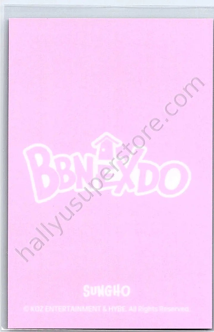 BOYNEXTDOOR - Sungho - BOYNEXTDOOR - Sungho - BBNEXDO Official MD Other keyring mini plush doll merch photocard
